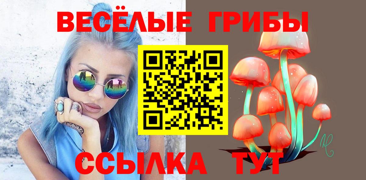 Псилоцибиновые грибы Psilocybine cubensis  Вход с VPN  Кушва  Галлюциногенные грибы GOLDEN TEACHER 